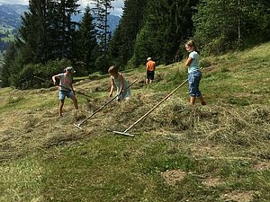 Faire les foins à la montagne. Photo: Famille Schletti