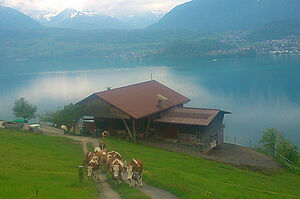 Exploitation à domicile de la famille Kämpf au-dessus du lac de Thoune.. Photo: Famille Kämpf.