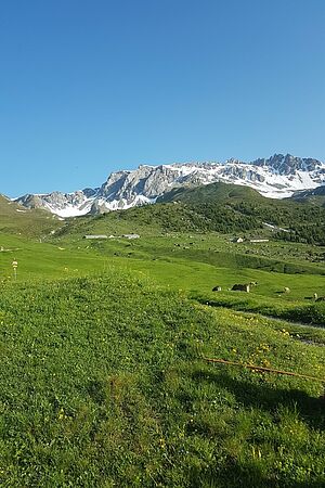  Alp Tea, Tschlin. Photo: famille Mair