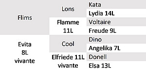 Ascendance Taureau bio d’IA Enyo.