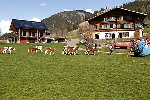 La ferme à Zweisimmen. Photo: Famille Schletti