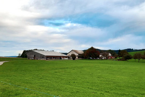 Stall und Haus im Hintergrund, vorne grüne Wiese