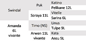 Ascendance Taureau bio d’IA Albin.