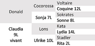 Ascendance taureau bio d’IA Kari.