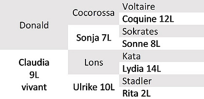 Ascendance taureau bio d’IA Kari.