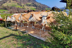 Exposition de la ferme à Reichenbach. Photo : Famille Dubach