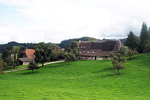 Les deux écuries et les pâturages arrondis. Photo: Famille Biegger